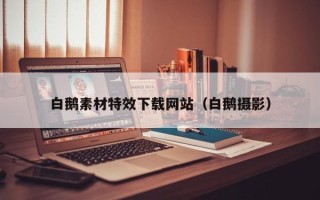 昌都白鹅素材特效下载网站（白鹅摄影）